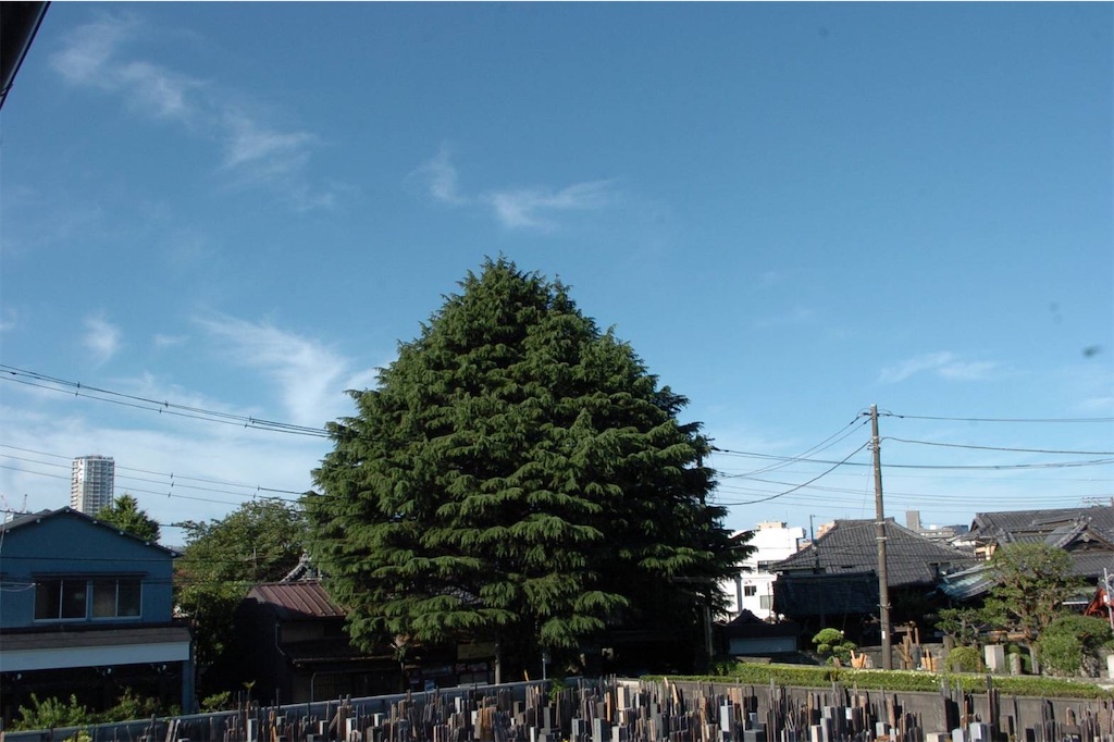 f:id:TokuheiKumagai:20250512141401j:image