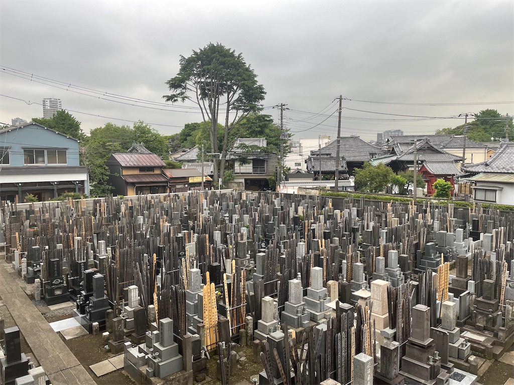 f:id:TokuheiKumagai:20250513004503j:image