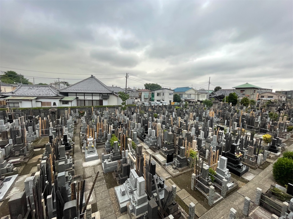 f:id:TokuheiKumagai:20250513004508j:image