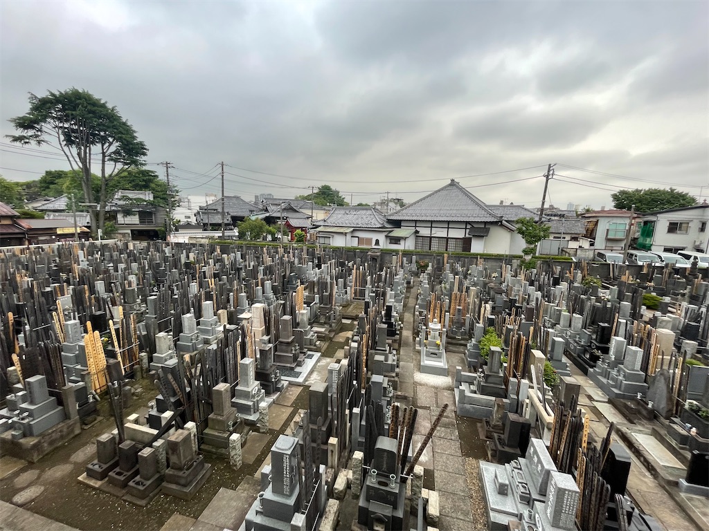 f:id:TokuheiKumagai:20250513004512j:image