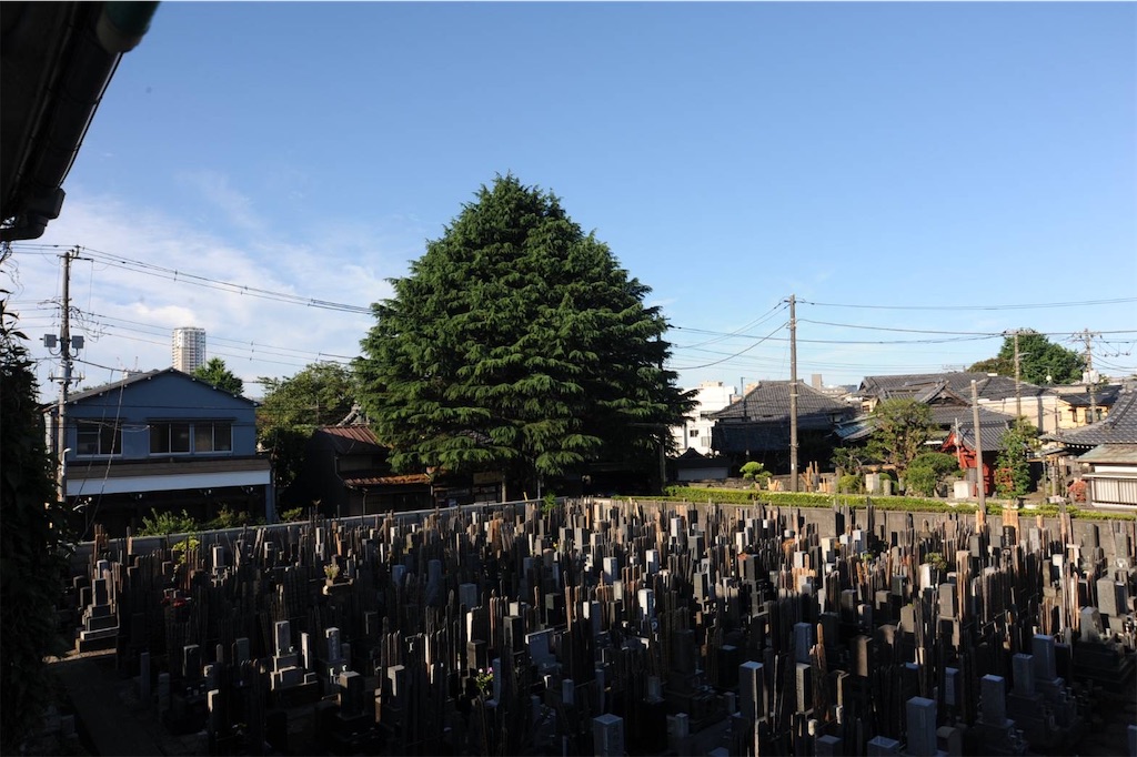 f:id:TokuheiKumagai:20250513004534j:image