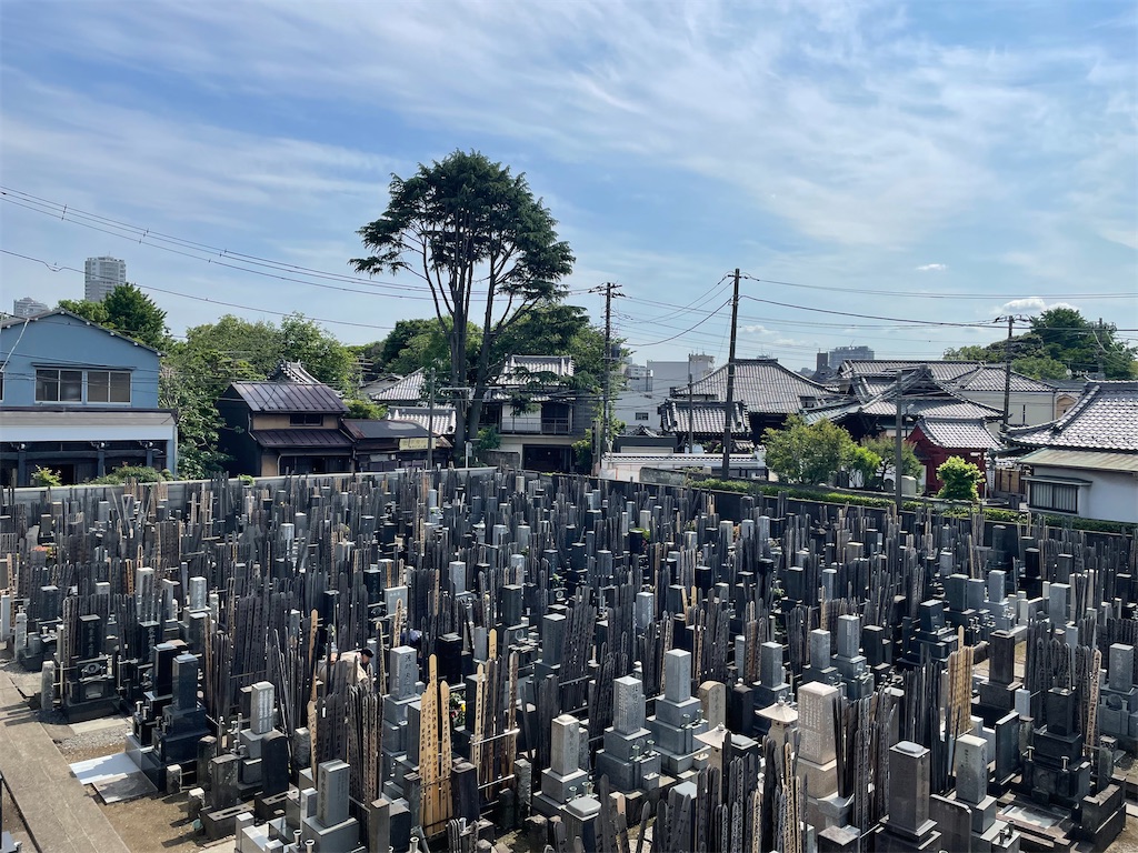 f:id:TokuheiKumagai:20250514150204j:image