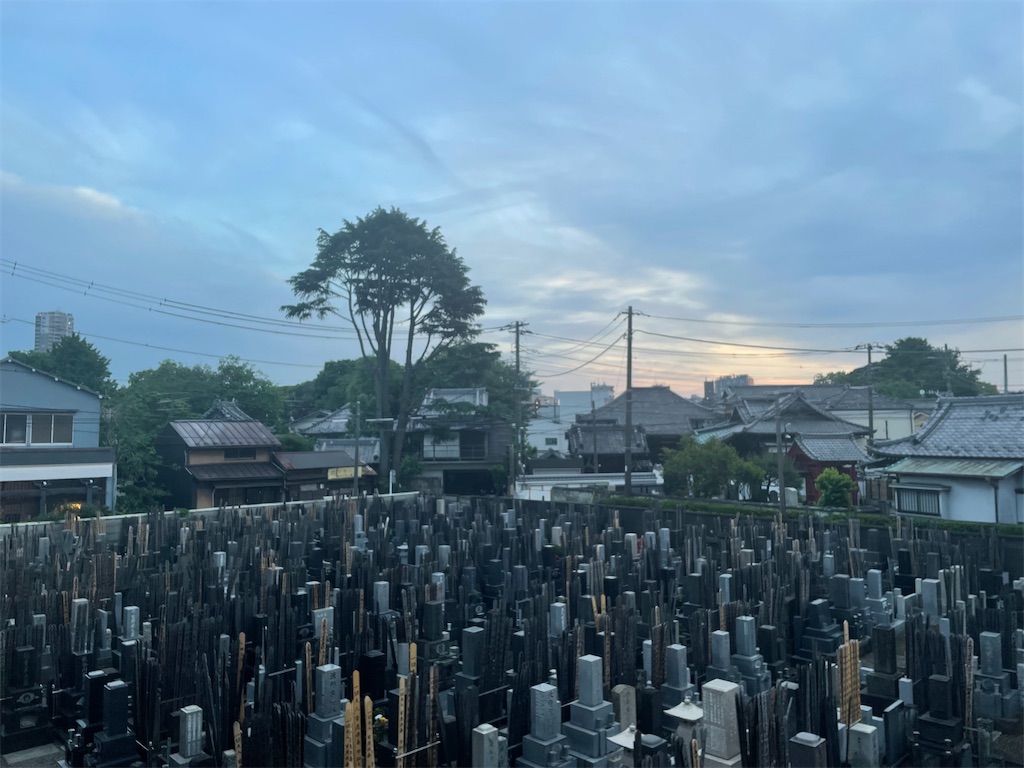 f:id:TokuheiKumagai:20250515205642j:image