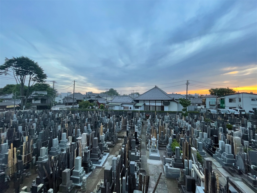 f:id:TokuheiKumagai:20250515205645j:image