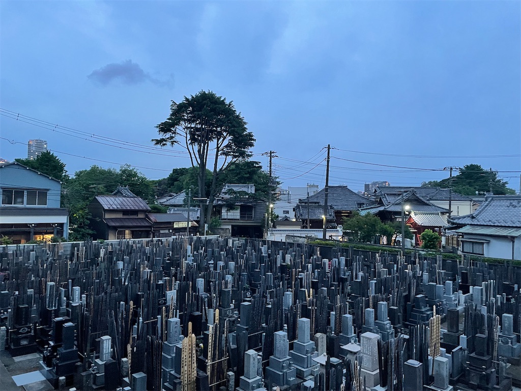 f:id:TokuheiKumagai:20250516211017j:image