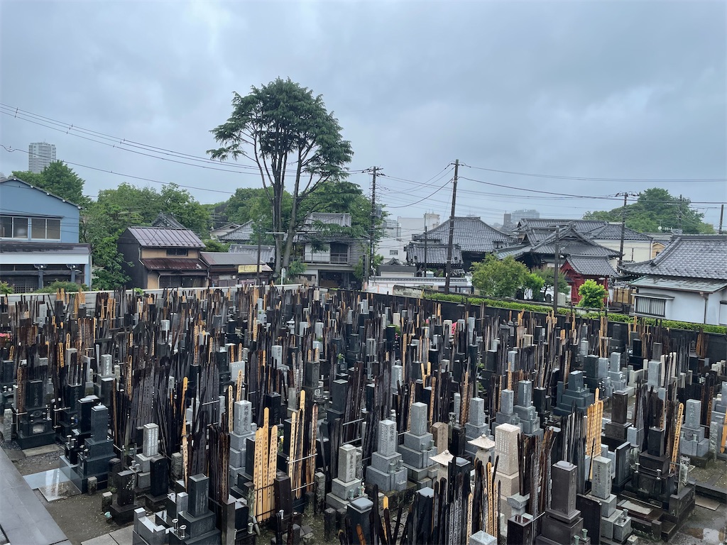 f:id:TokuheiKumagai:20250517195202j:image
