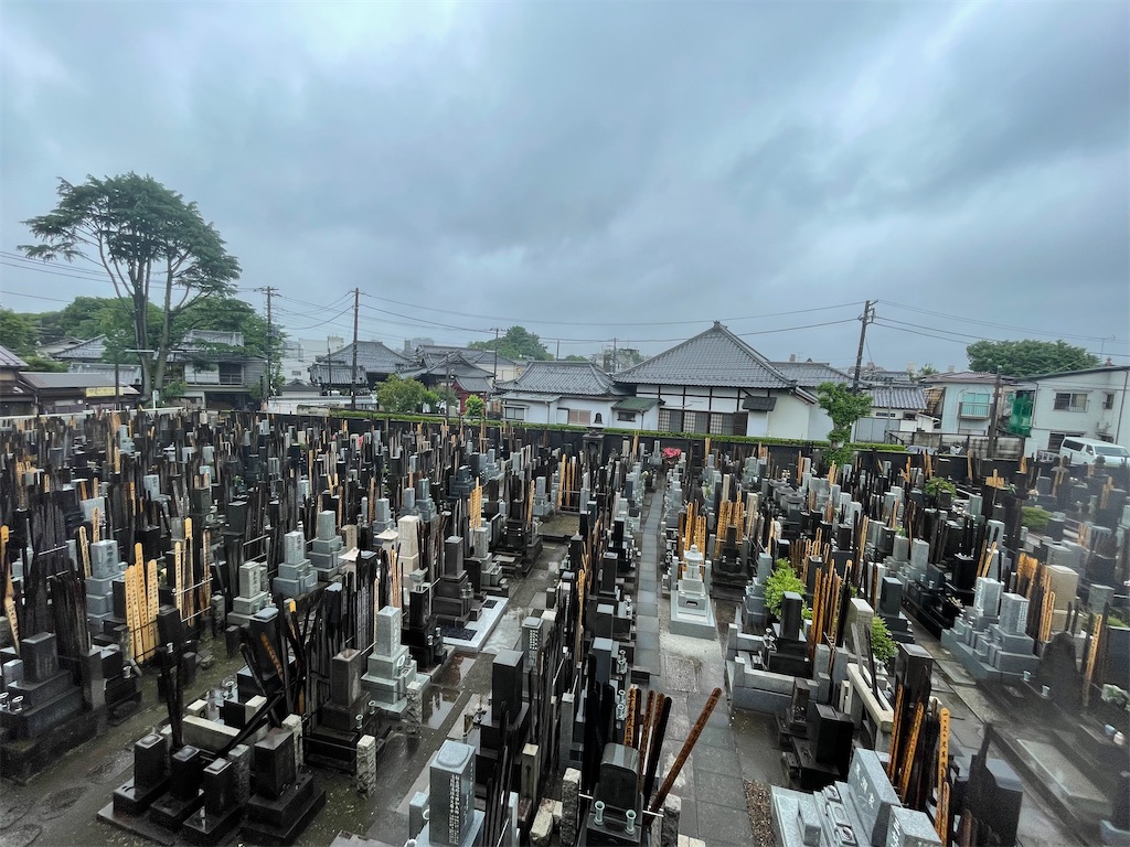 f:id:TokuheiKumagai:20250517195206j:image