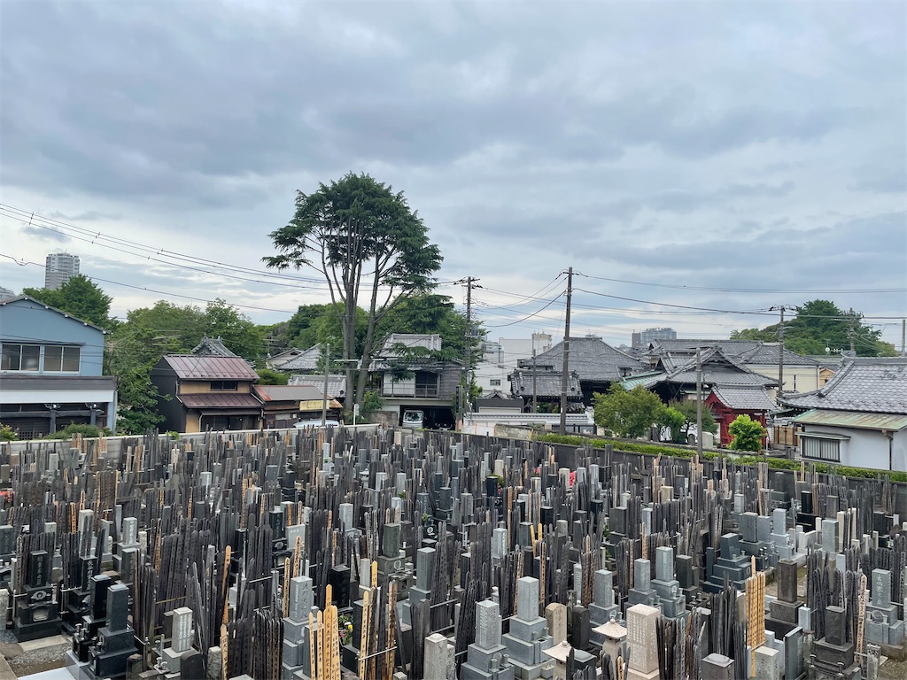 f:id:TokuheiKumagai:20250518235345j:image