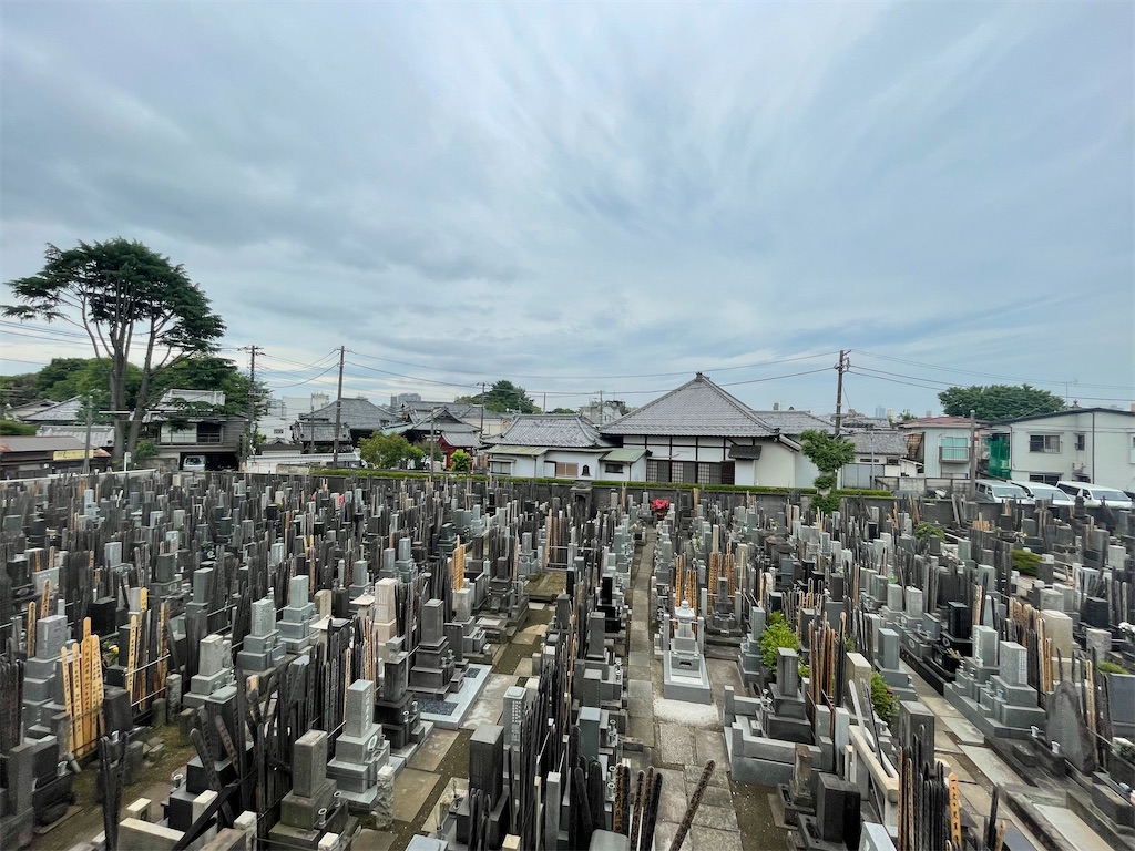 f:id:TokuheiKumagai:20250518235358j:image