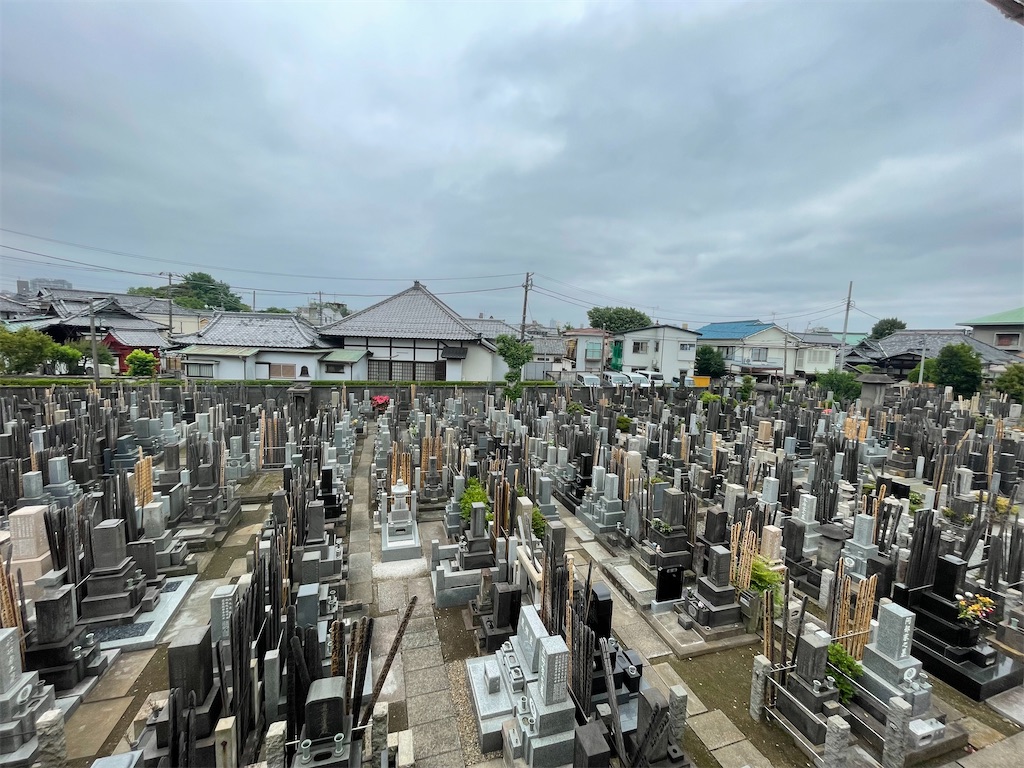 f:id:TokuheiKumagai:20250519230649j:image