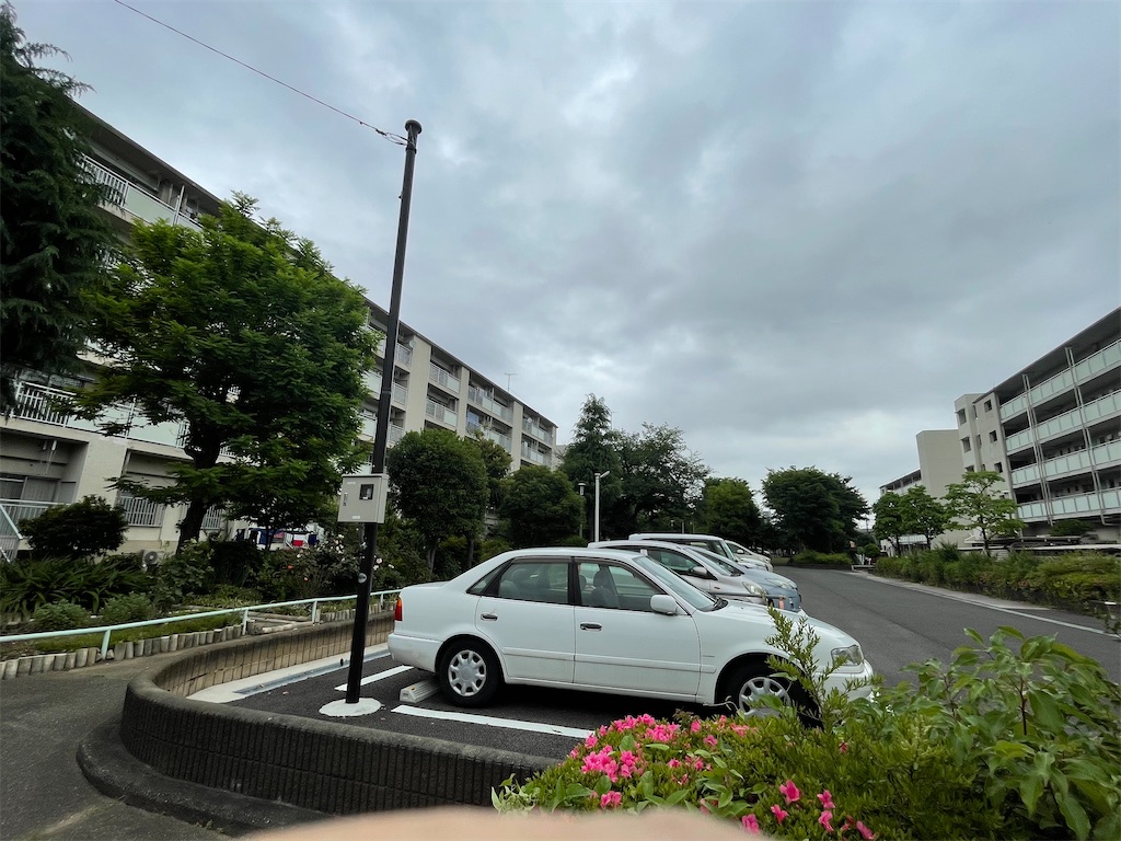 f:id:TokuheiKumagai:20250519230706j:image