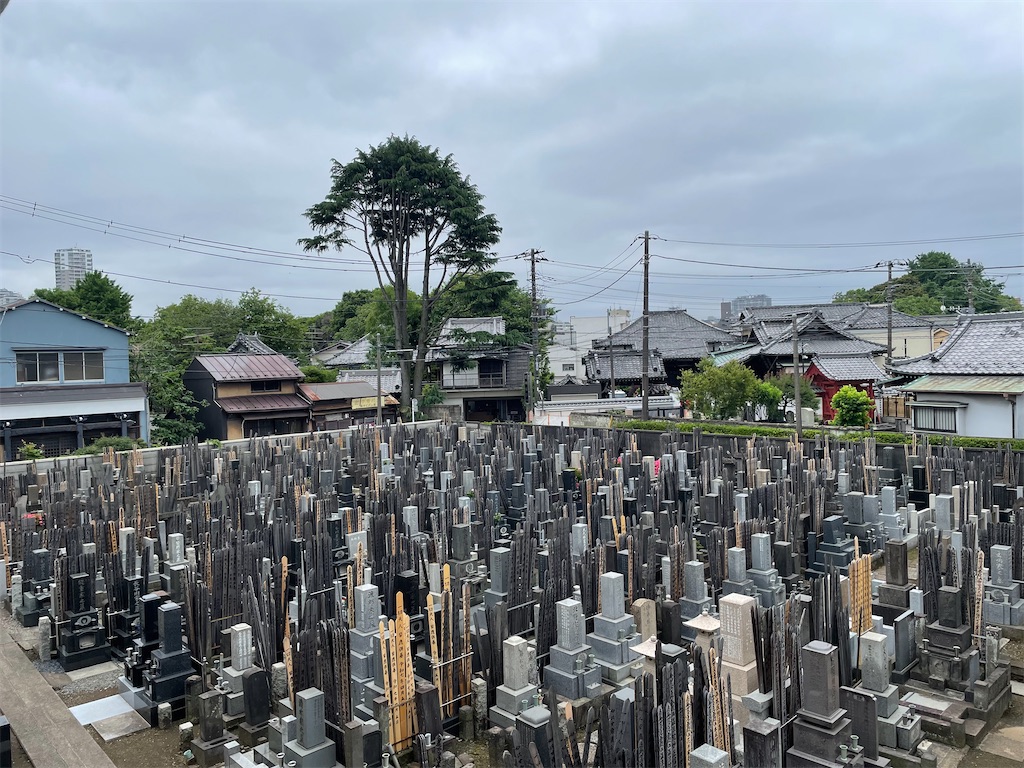 f:id:TokuheiKumagai:20250519230715j:image