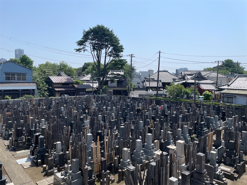 f:id:TokuheiKumagai:20250520154857j:image
