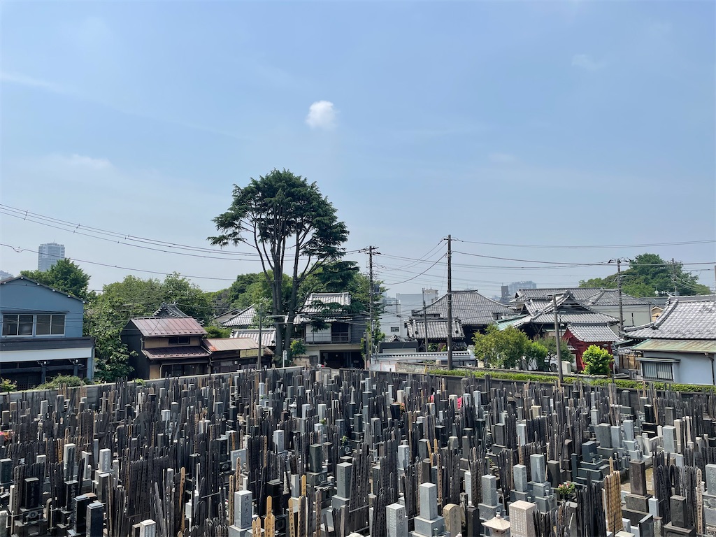 f:id:TokuheiKumagai:20250521144218j:image