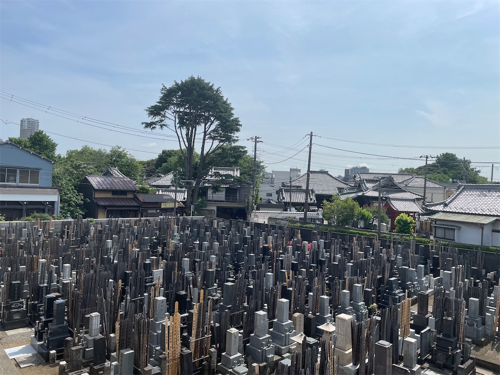 f:id:TokuheiKumagai:20250522143651j:image