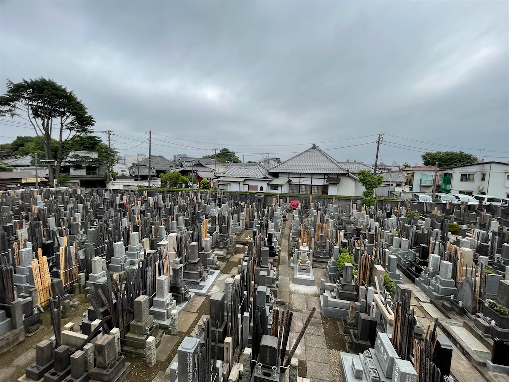 f:id:TokuheiKumagai:20250525180601j:image