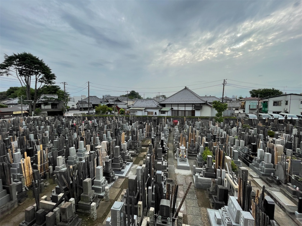 f:id:TokuheiKumagai:20250527050840j:image