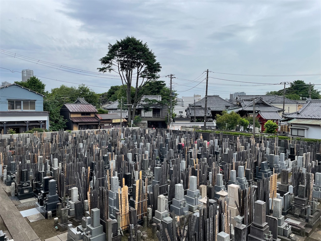 f:id:TokuheiKumagai:20250527050847j:image