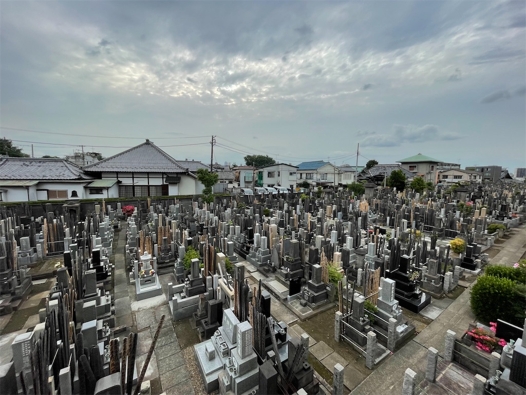 f:id:TokuheiKumagai:20250527050853j:image
