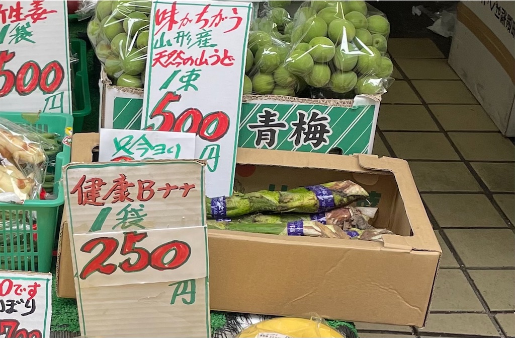 f:id:TokuheiKumagai:20250527170022j:image
