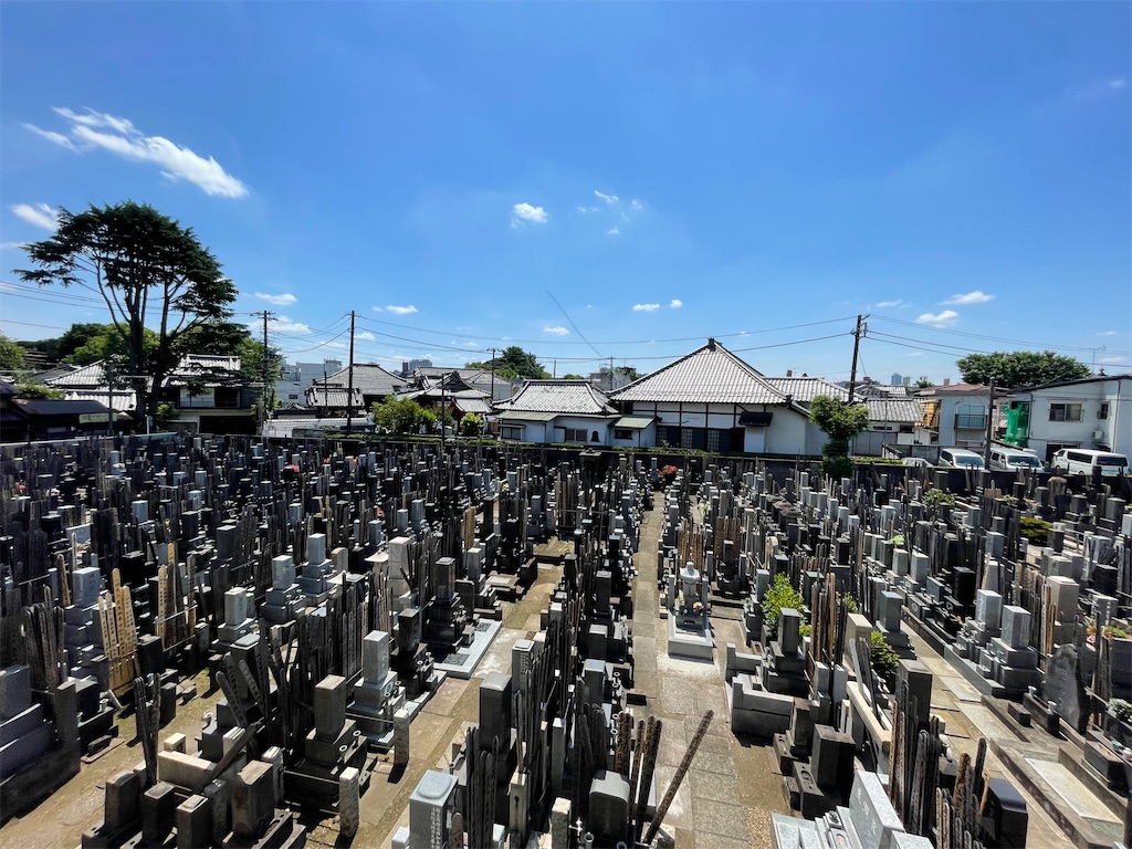 f:id:TokuheiKumagai:20250528132834j:image