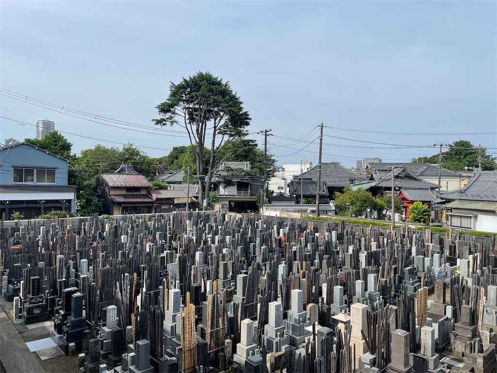 f:id:TokuheiKumagai:20250529115302j:image