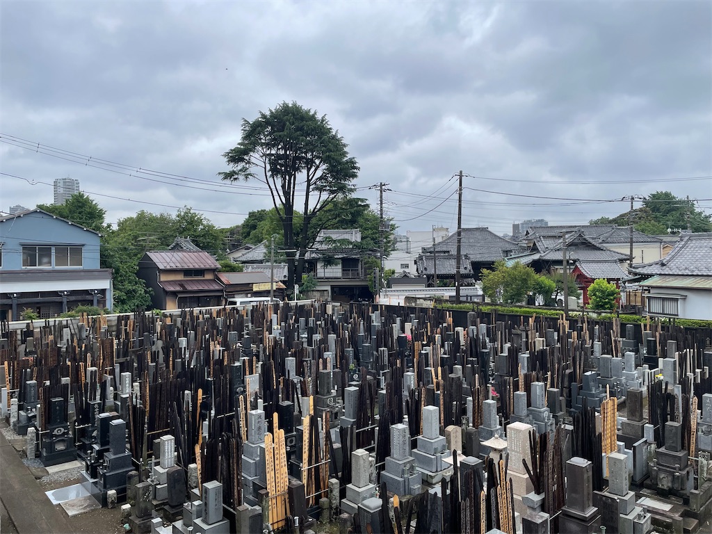 f:id:TokuheiKumagai:20250530145424j:image