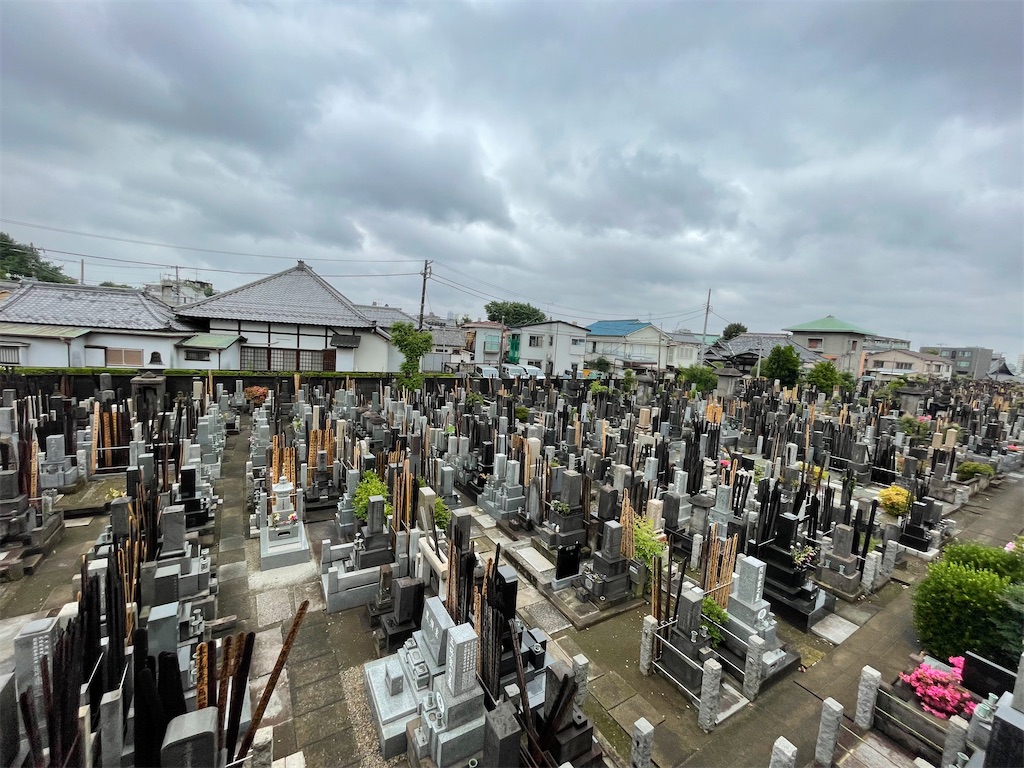 f:id:TokuheiKumagai:20250530145428j:image