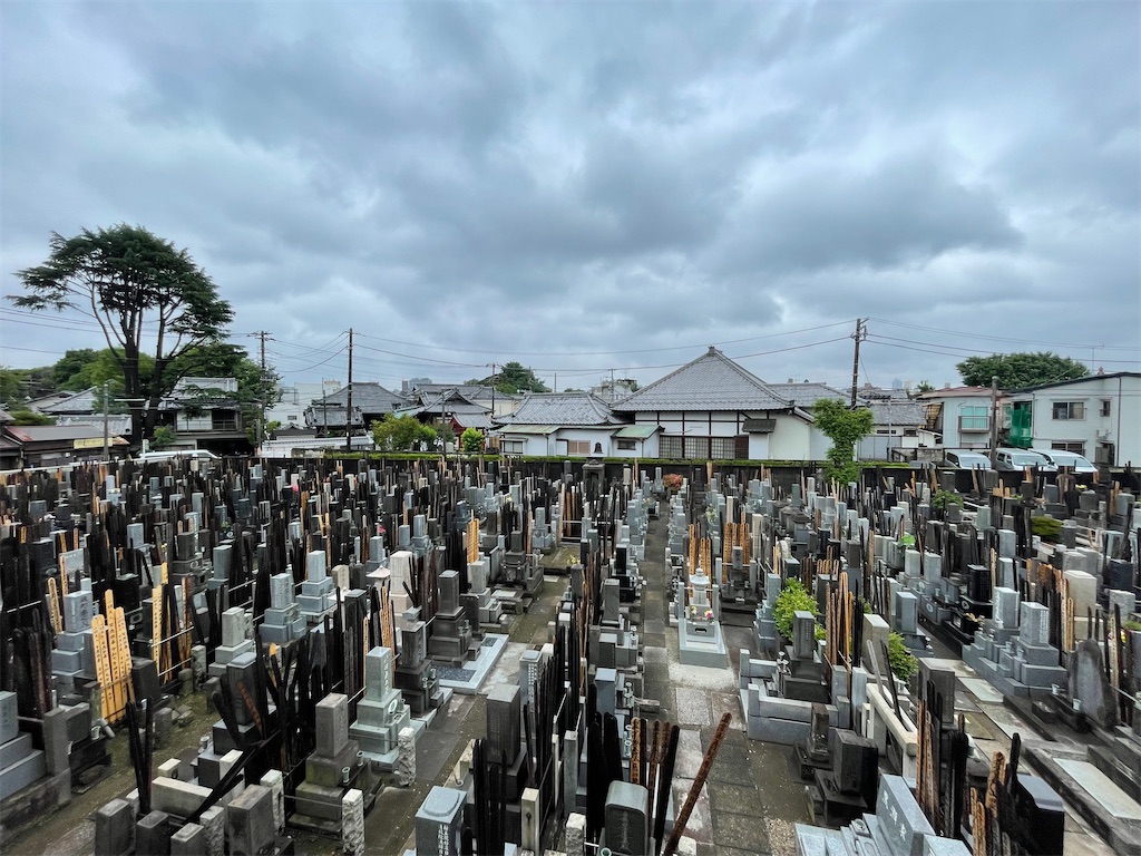 f:id:TokuheiKumagai:20250530145434j:image