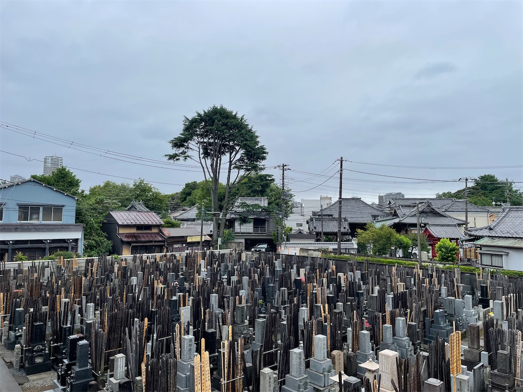 f:id:TokuheiKumagai:20250531103407j:image
