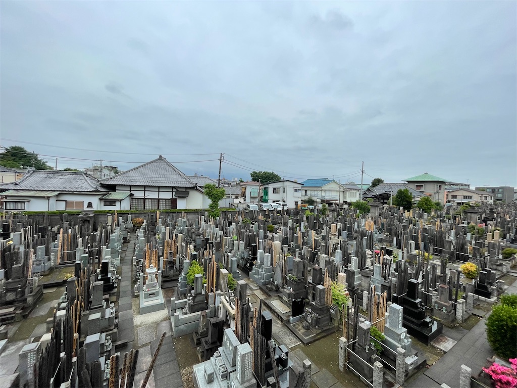 f:id:TokuheiKumagai:20250531103415j:image
