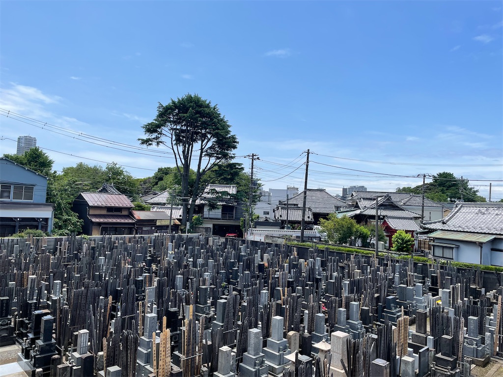 f:id:TokuheiKumagai:20250601150605j:image