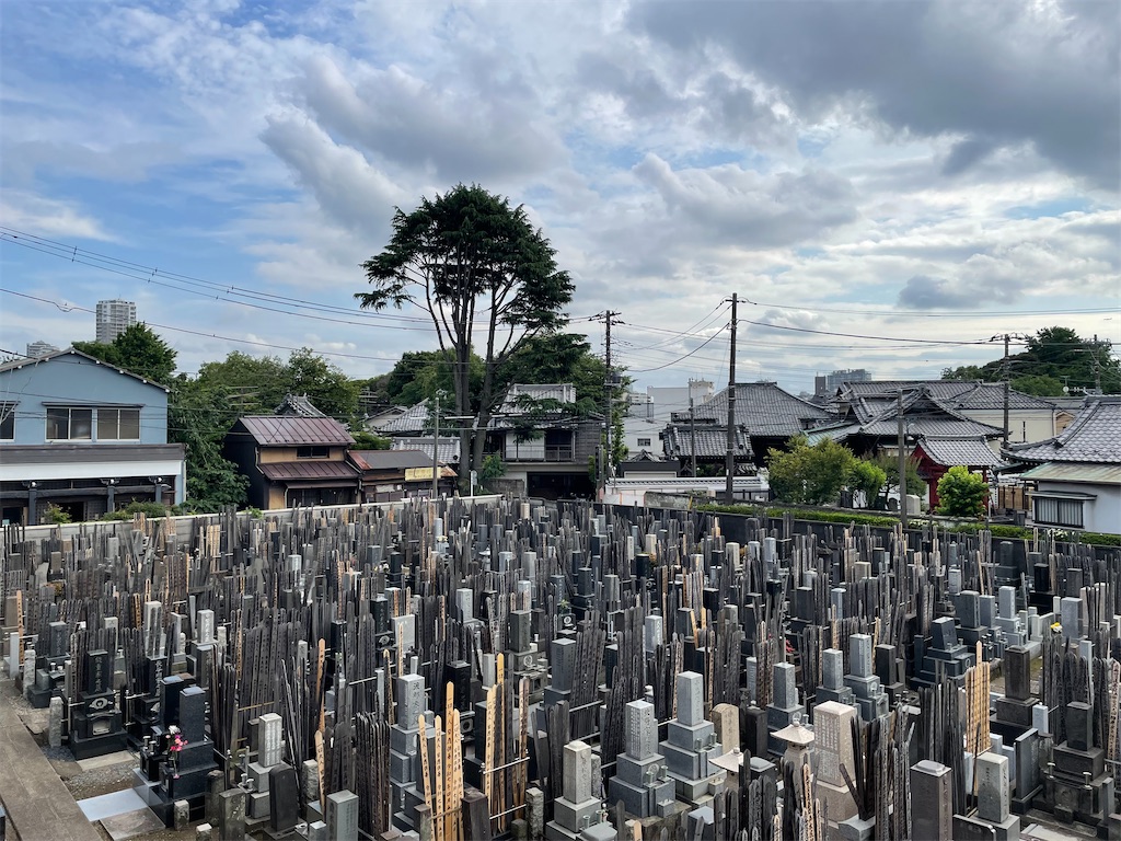 f:id:TokuheiKumagai:20250602230425j:image