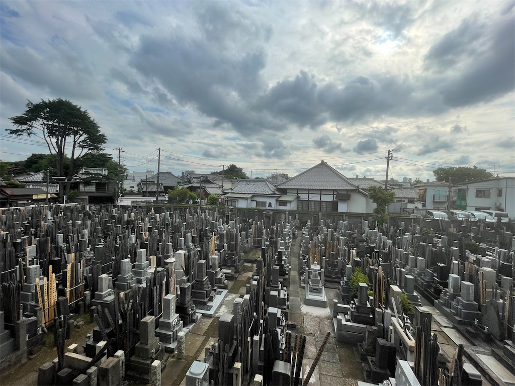 f:id:TokuheiKumagai:20250602230429j:image