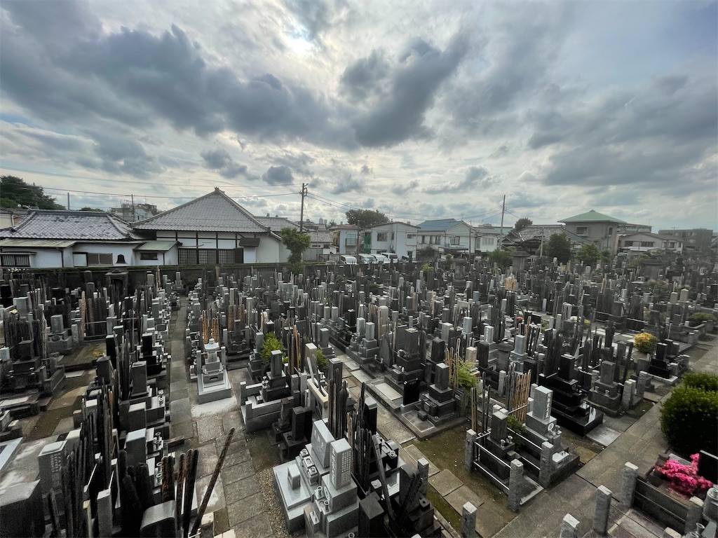 f:id:TokuheiKumagai:20250602230433j:image