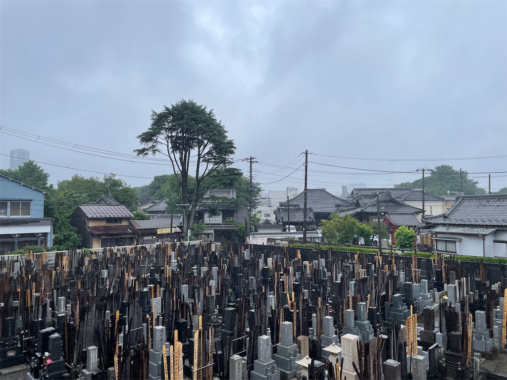 f:id:TokuheiKumagai:20250603160658j:image