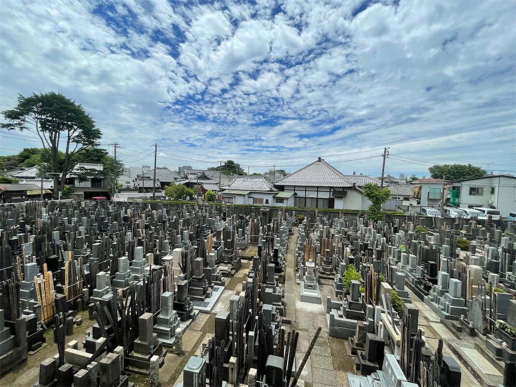 f:id:TokuheiKumagai:20250604120930j:image