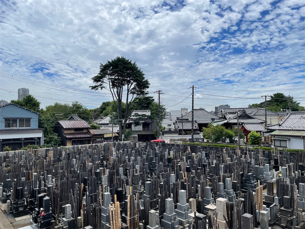 f:id:TokuheiKumagai:20250604120933j:image