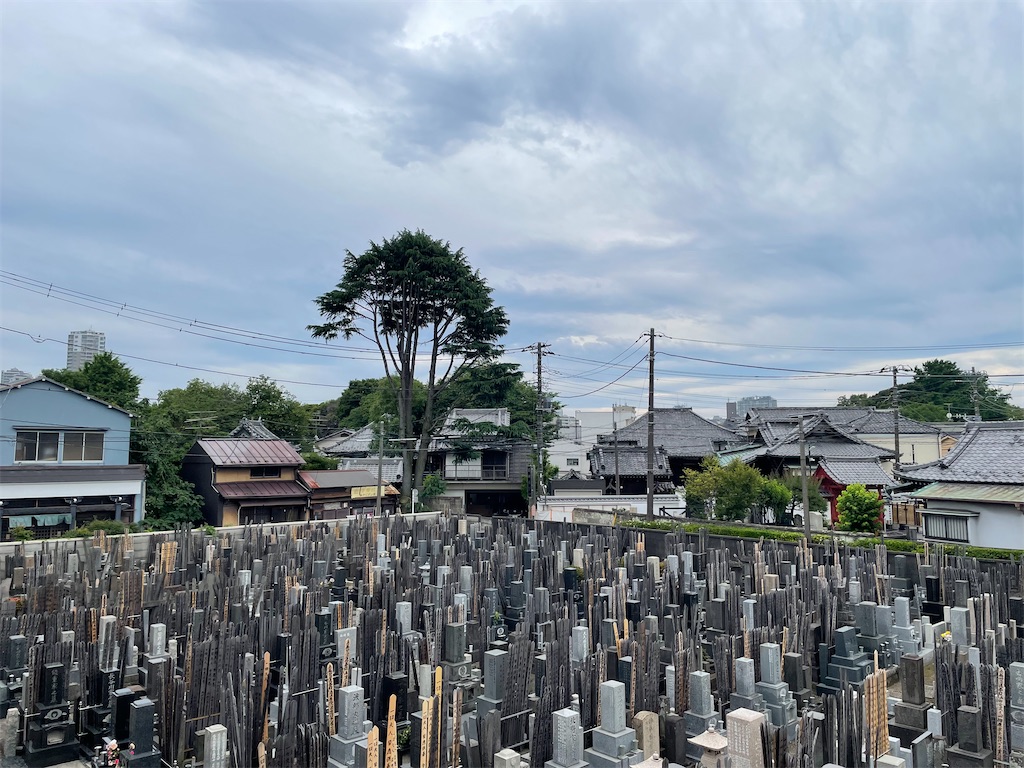 f:id:TokuheiKumagai:20250606200248j:image