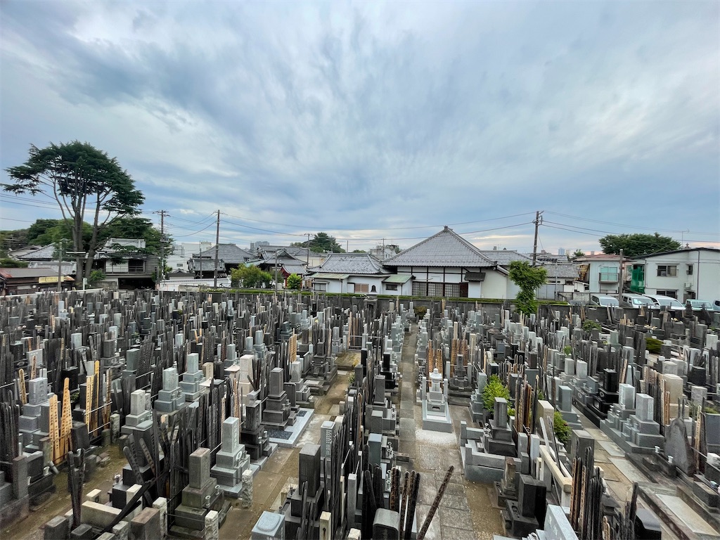 f:id:TokuheiKumagai:20250606200251j:image