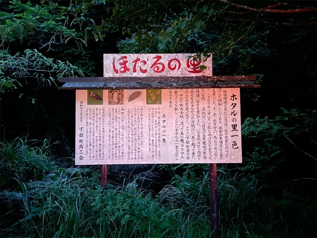 f:id:TokuheiKumagai:20250608001914j:image