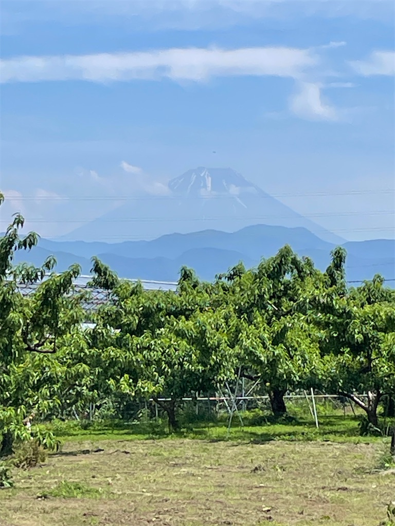 f:id:TokuheiKumagai:20250608001923j:image