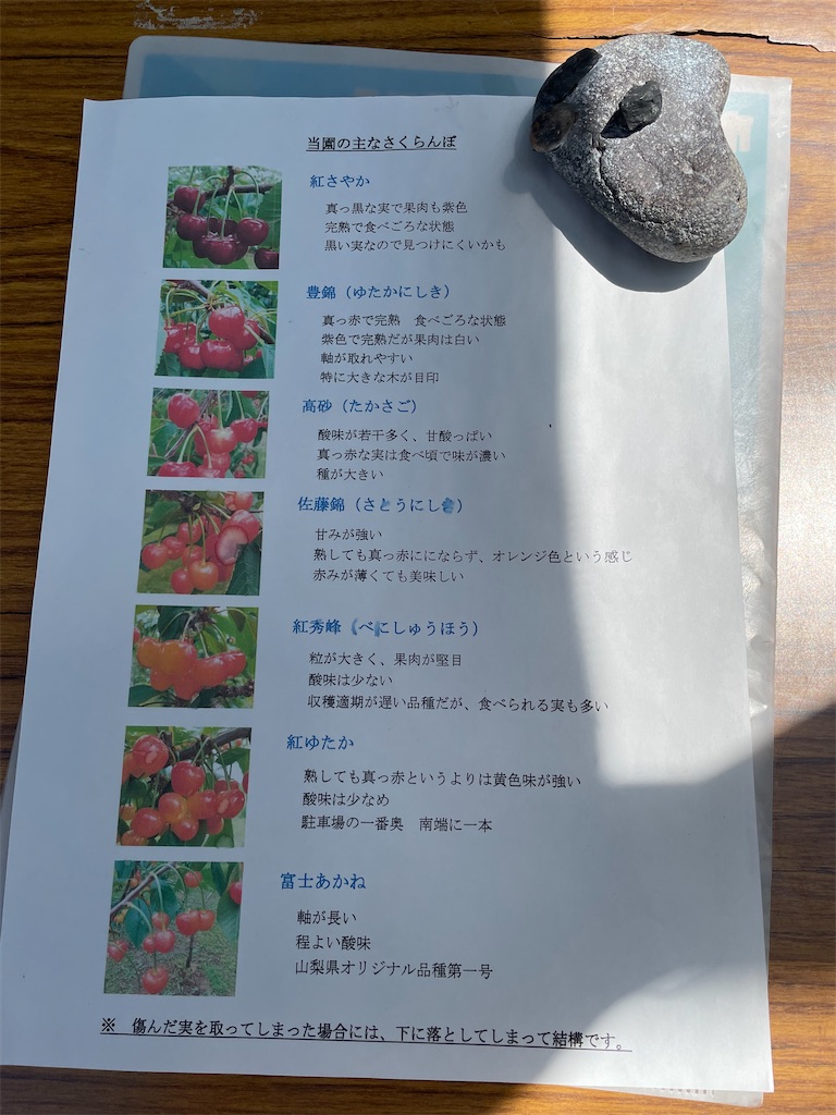 f:id:TokuheiKumagai:20250608002035j:image