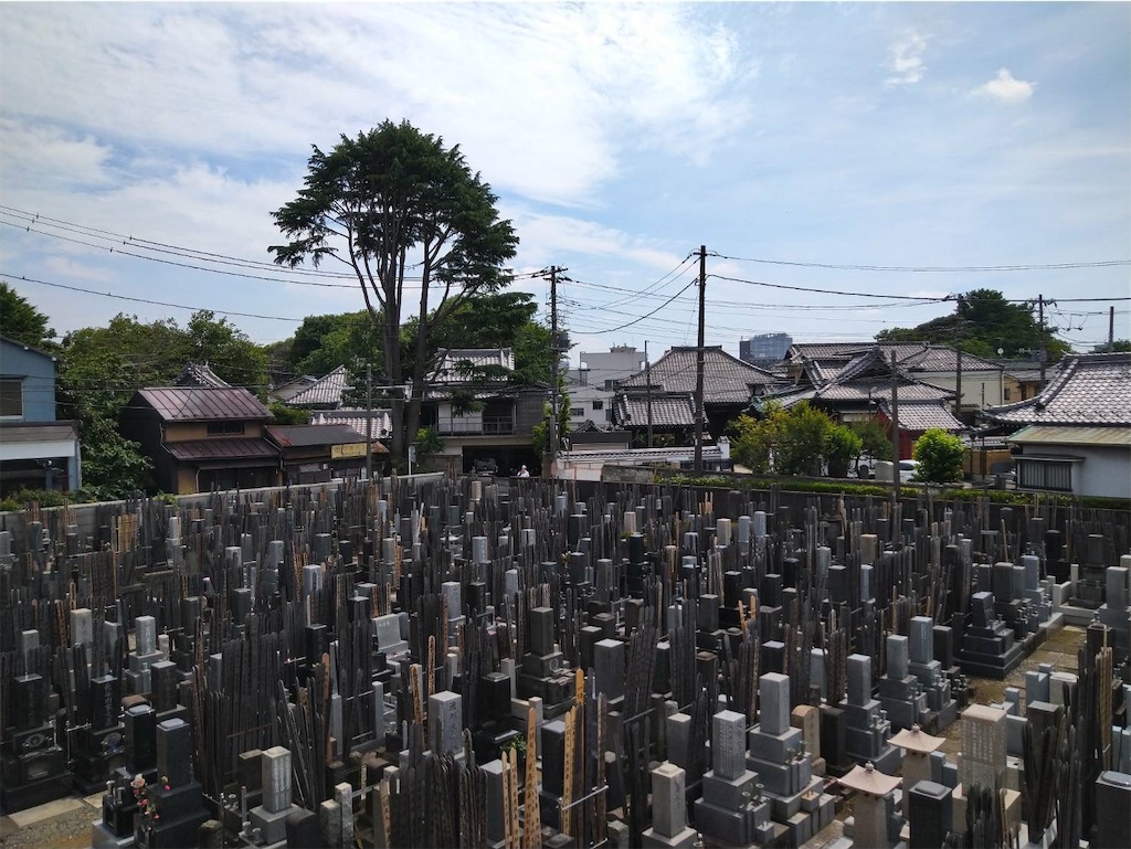 f:id:TokuheiKumagai:20250608002138j:image