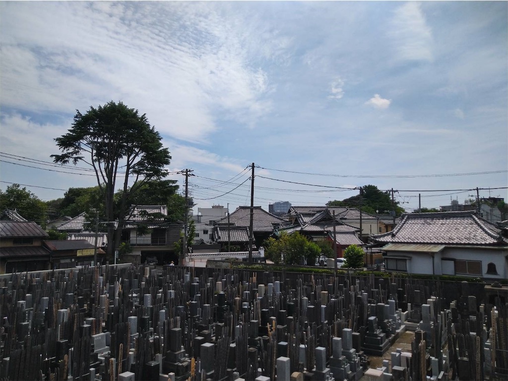 f:id:TokuheiKumagai:20250608002142j:image