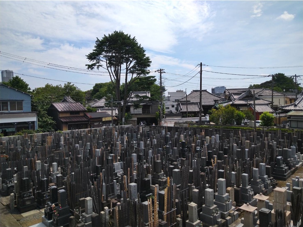 f:id:TokuheiKumagai:20250608002149j:image
