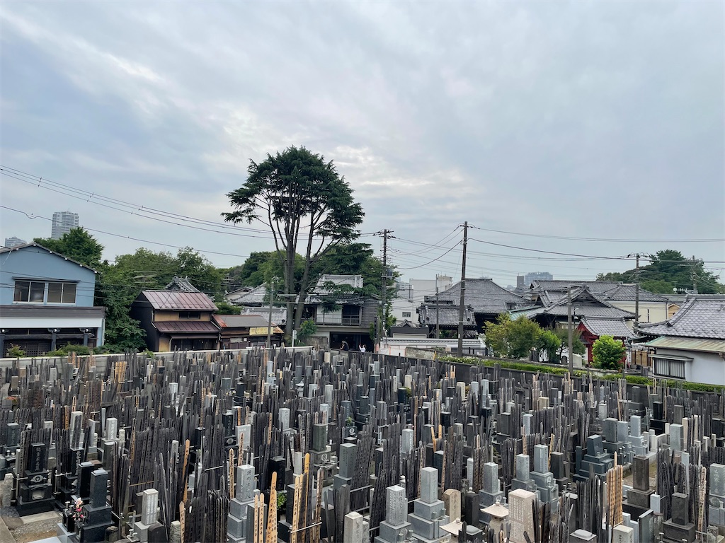 f:id:TokuheiKumagai:20250608171242j:image
