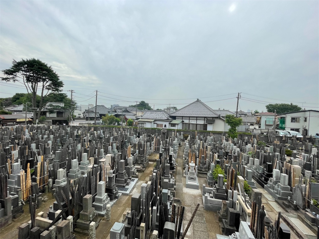 f:id:TokuheiKumagai:20250608171245j:image