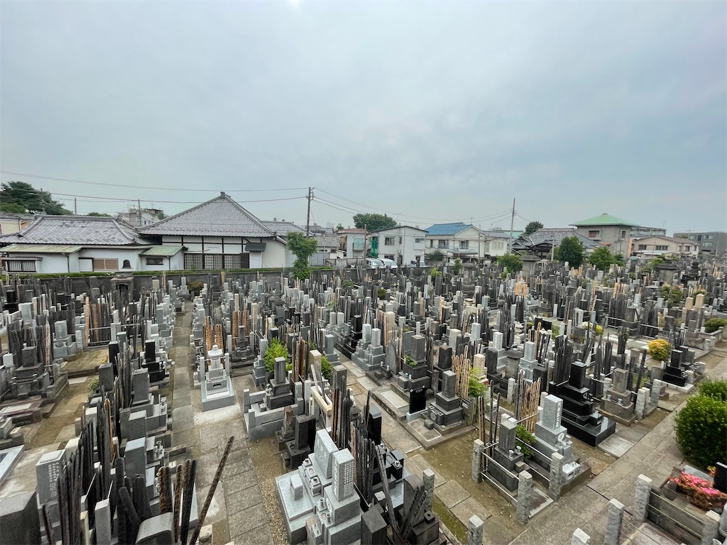 f:id:TokuheiKumagai:20250608171249j:image