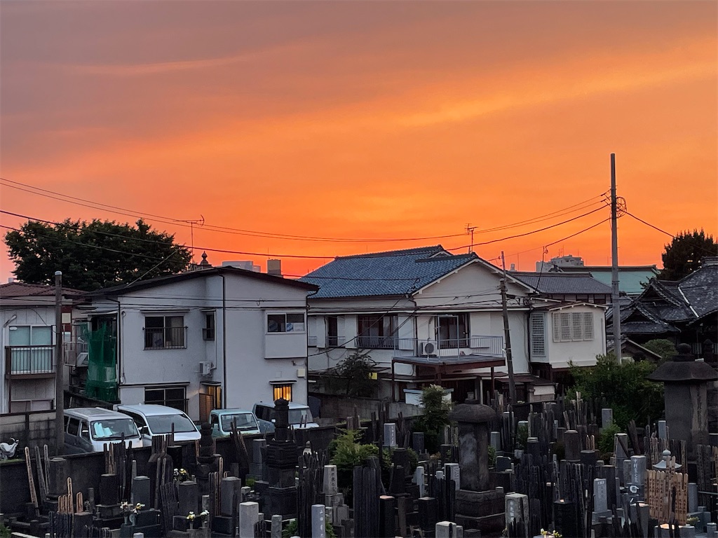 f:id:TokuheiKumagai:20250608185105j:image
